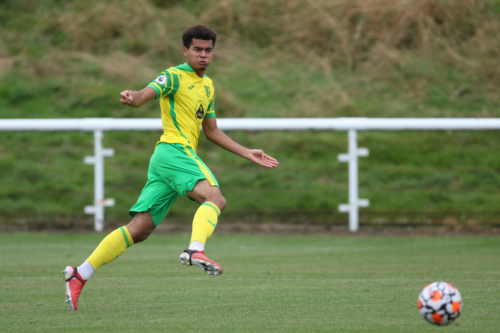 Sunderland v Norwich City - Premier League 2